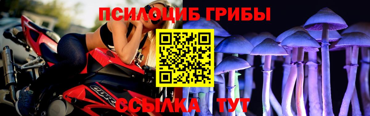 Псилоцибиновые грибы мицелий  Вход с VPN  Мелеуз 